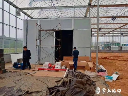淥口區(qū) 工廠化育秧新模式與傳統(tǒng)民間工藝的鄉(xiāng)村振興交響